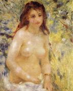 Pierre-Auguste Renoir The female nude under the sun Germany oil painting artist